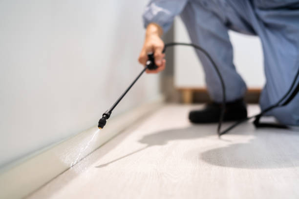 Bed Bug Pre-Treatment Preparation Assessment in Rochester Institute of Technology