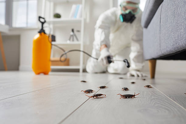Post-Treatment Bed Bug Interceptor Monitoring in Rochester Institute of Technology