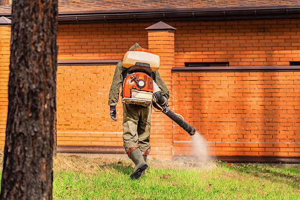 Bed Bug Clearance Verification and Documentation in Rochester Institute of Technology